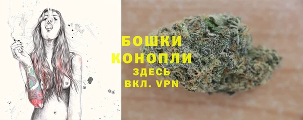 таблы Ельня