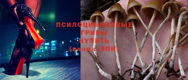 таблы Ельня