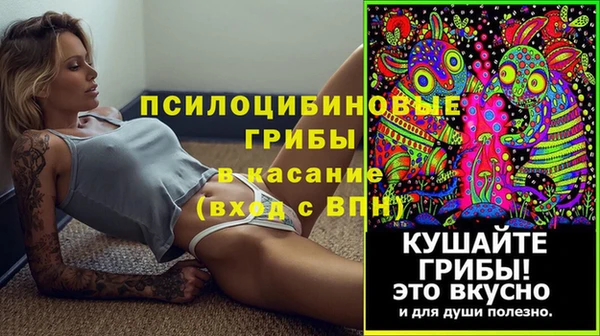 мескалин Елабуга