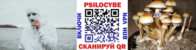 Купить где  Ликино-Дулёво  Галлюциногенные грибы прущие грибы 